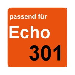 Echo 301