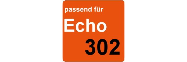 Echo 302
