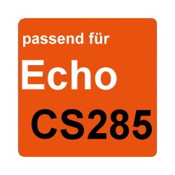 Echo CS285