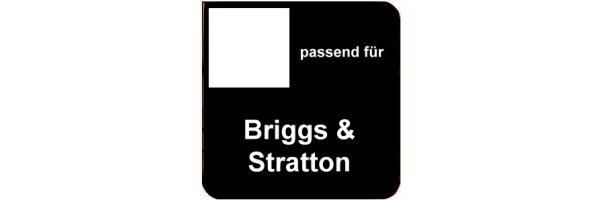 passend für Briggs u. Stratton