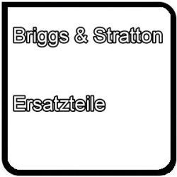 Ersatzteile Briggs + Stratton für Viking